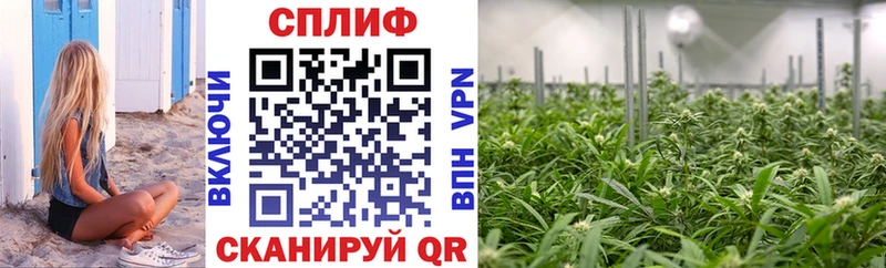 Бошки марихуана Bruce Banner  Купить где  Карабаш 